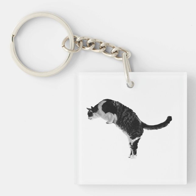 Freundlicher Katzenanhänger Schlüsselanhänger (Vorderseite)