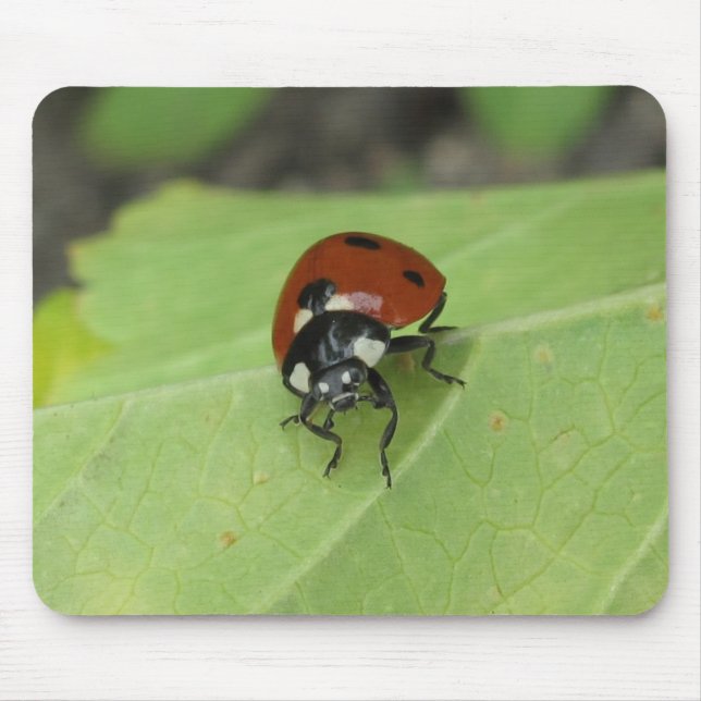 Freundlicher Marienkäfer Mousepad (Vorne)