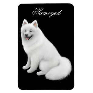 Freundlicher Samoyed Hund Premium Magnet