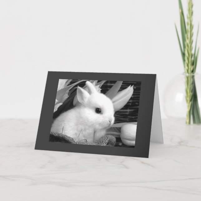 FREUNDLICHER ZU MEINEM "HONEY BUNNY" FEIERTAGSKARTE (Vorderseite)