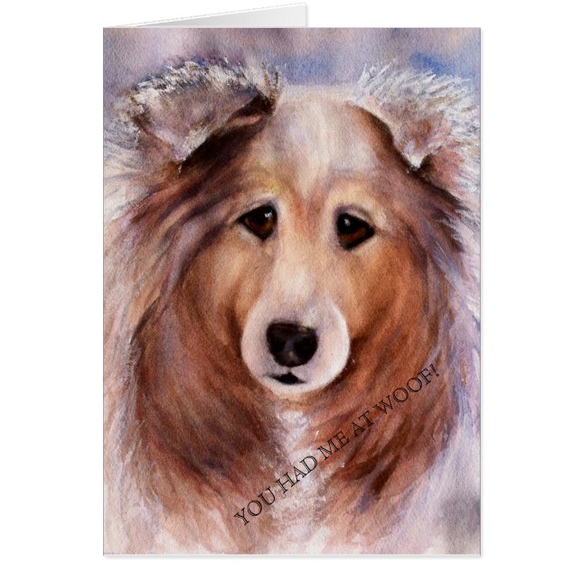 FREUNDLY GOLDEN COLLIE (Vorne)