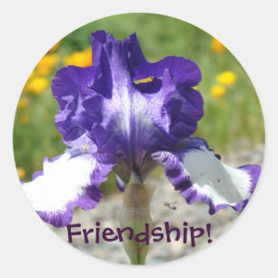 Freundschaft! Aufkleber Lila Iris Blume Aufkleber