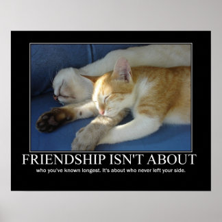 Freundschaft Cats Liebe Artwork Inspiration Poster