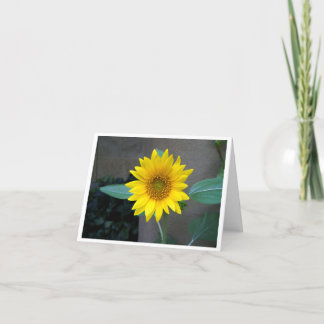 Freundschaft, danke, Geburtstag, Sonnenblumenkarte Dankeskarte