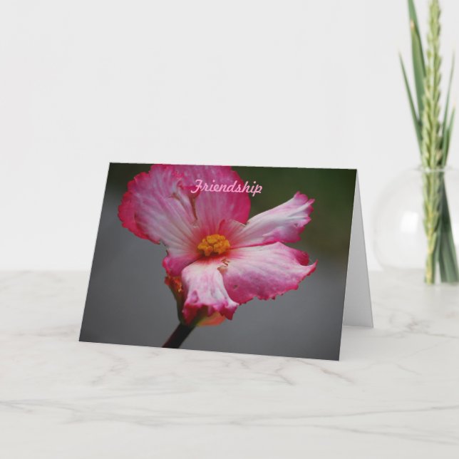 Freundschaft Feiertagskarte (Vorderseite)