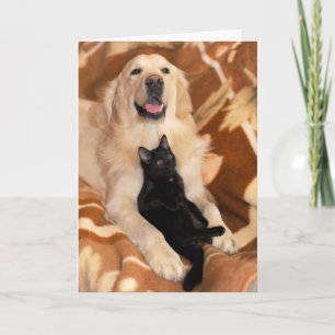 Freundschaft Freunde Hund und Katze Karte