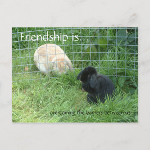 Freundschaft ist..., die Barrieren zwischen Postkarte