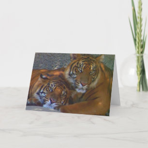 Freundschaft/jede Okcaderokarte Karte