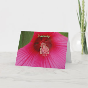 Freundschaft Karte