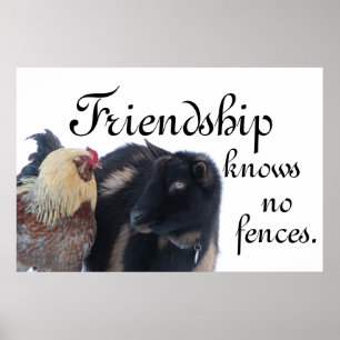 FREUNDSCHAFT KENNT KEINE FENZEN - ZIEGE - ROOSTER POSTER