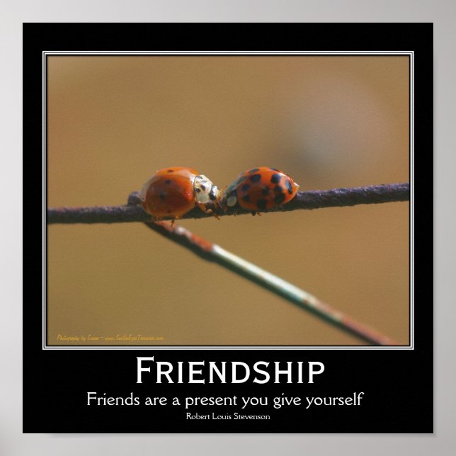Freundschaft Ladybugs Inspiration Zitat Poster (Vorne)