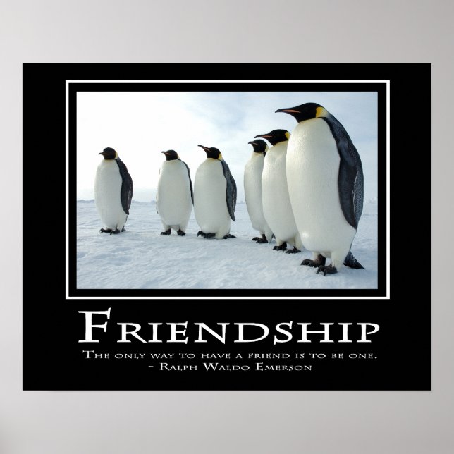 Freundschaft Poster (Vorne)