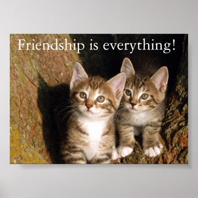Freundschaft Poster (Vorne)