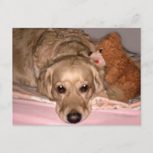 Freundschaft Postkarte