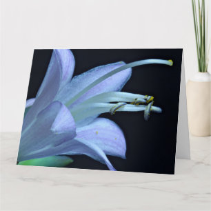 Freundschaft - Schönes Macro Hosta Blume Foto Karte