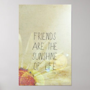Freundschaft & Sonnenschein Poster