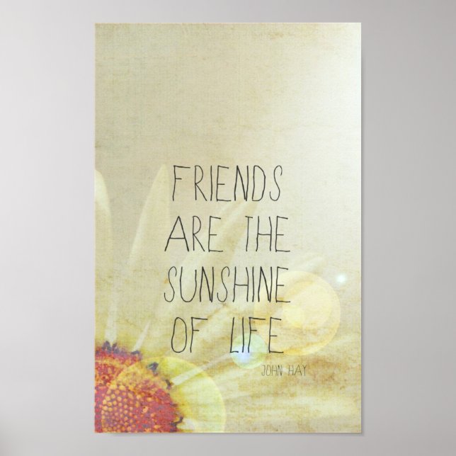 Freundschaft & Sonnenschein Poster (Vorne)