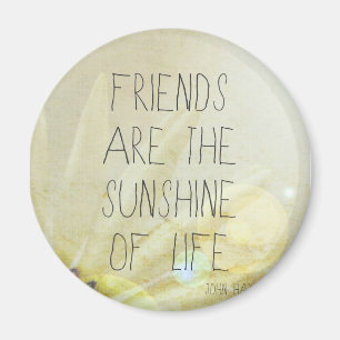 Freundschaft u. Sonnenschein Magnet