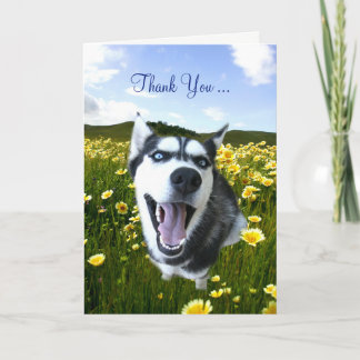Freundschaft Vielen Dank mit Niedlichen Husky-Blum Dankeskarte