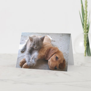 Freundschafts-Karte Karte