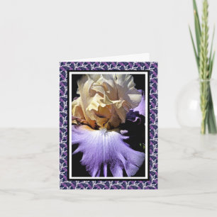 Freundschafts-Karte Karte