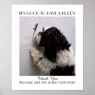 FreundschaftsBuddy-Poster mit meinem Hund Poster