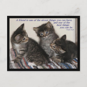 Freundschaftspostkarte Postkarte