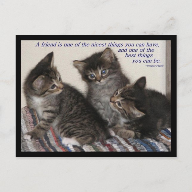 Freundschaftspostkarte Postkarte (Vorderseite)