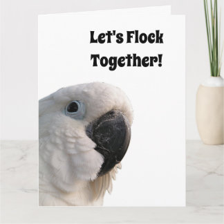 Freundschaftstag Cockatoo Flock - Funny Foto Karte
