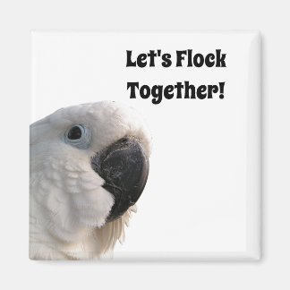 Freundschaftstag Cockatoo Flock - Funny Foto Magnet