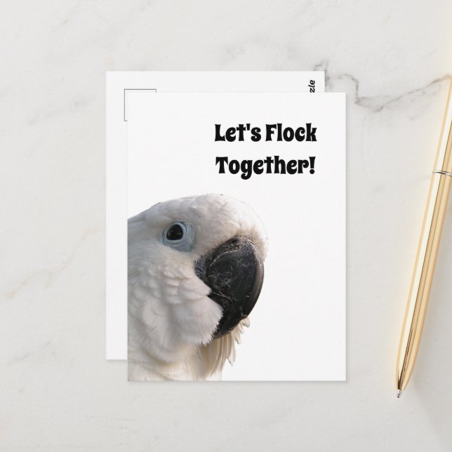 Freundschaftstag Cockatoo Flock - Funny Foto Postkarte (Vorderseite/Rückseite Beispiel)