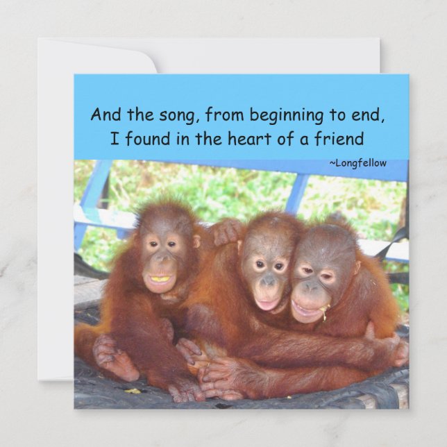 Freundschaftswahl (Vorderseite)