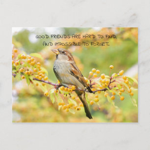 Freundschaftszitat Vogel und gelbe Blumen Postkarte