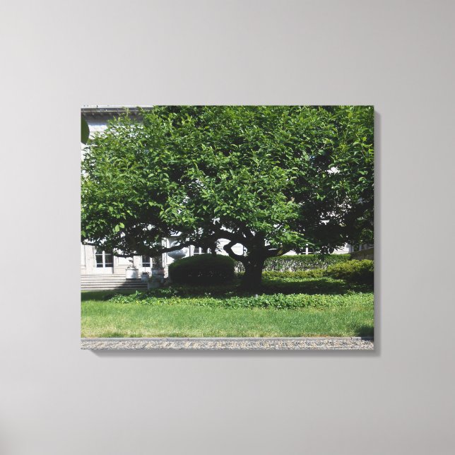 Frick Musuem Leinwanddruck (Vorderseite)