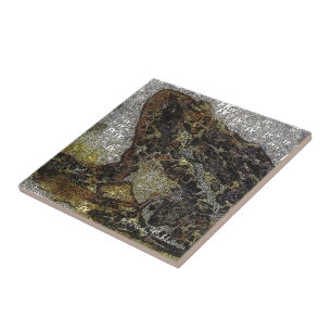 Frida Kahlo FK-Style Frog Painting Fliese