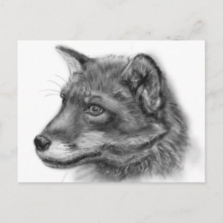 Frida, The Wee Scottish Fox! Postkarte