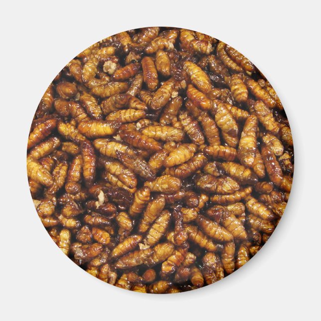 Fried Silk Worms ... Thai Street Food Magnet (Vorne)