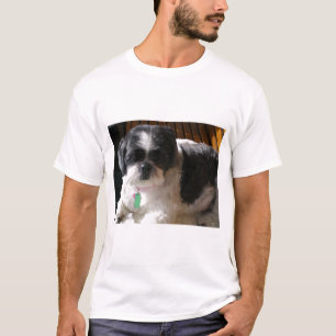 Friedberg, Waren T-Shirt