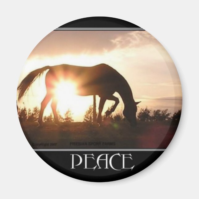 Friede bei Sunset Magnet (Vorne)