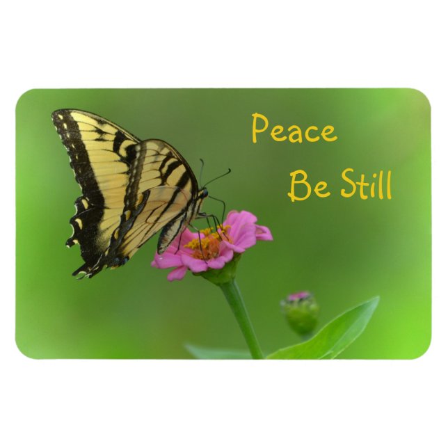 Friede sei immer noch Schmetterling Magnet (Horizontal)