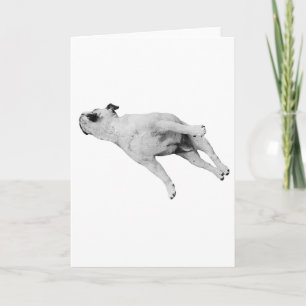 Friede sei mit deinen Pfoten Karte