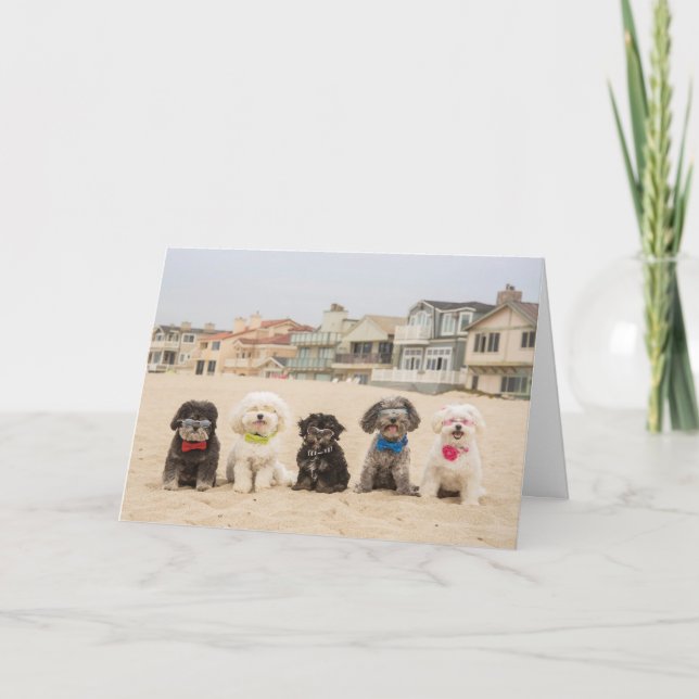 Frieden am Strand Karte (Vorderseite)