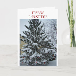 Frieden am Weihnachten, Snowy-Kiefer Feiertagskarte