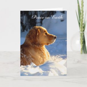 Frieden Feiertagskarte