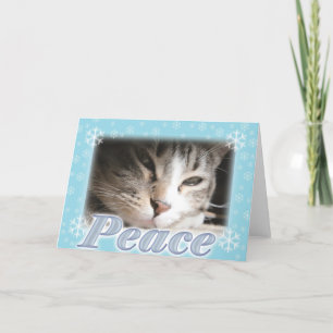 Frieden Feiertagskarte