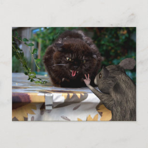 Frieden! Lass uns als Freunde Postkarte