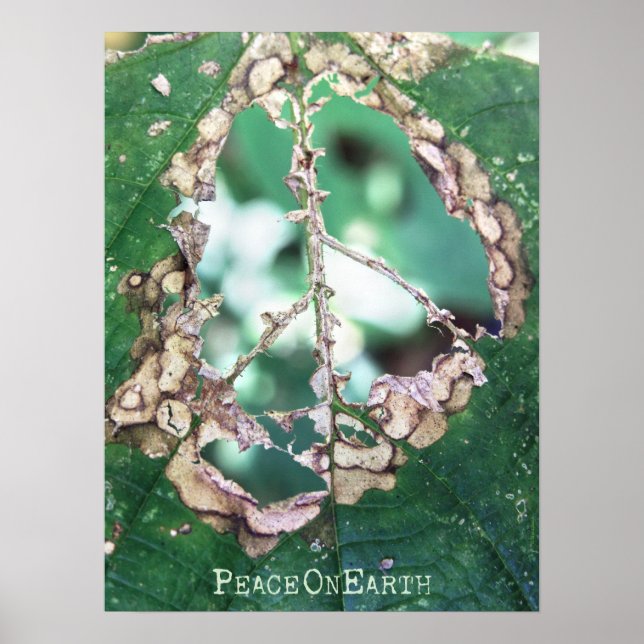 Frieden Poster (Vorne)