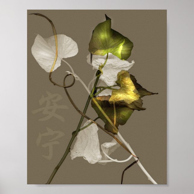 Frieden Poster (Vorne)