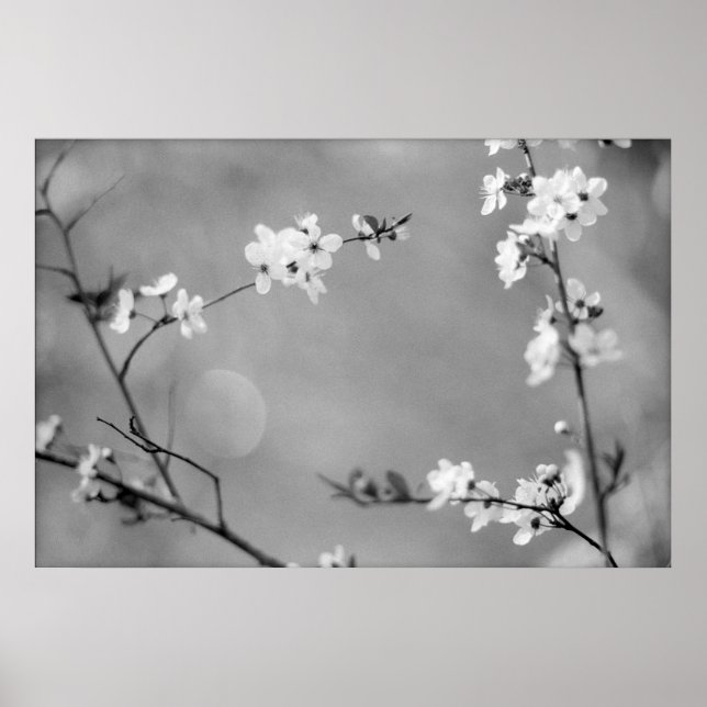 FRIEDEN POSTER (Vorne)