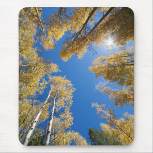 Frieden und Gelassenheit im Aspen Mousepad
